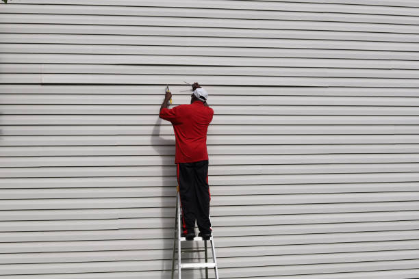 Best Siding for Commercial Buildings  in Belwood, NC