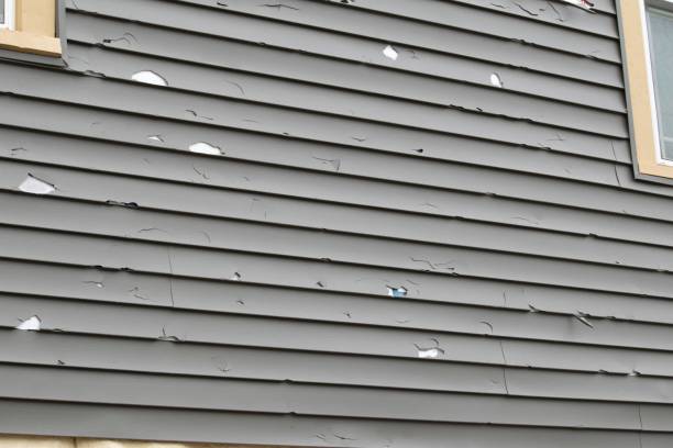 Best Engineered Wood Siding  in Belwood, NC